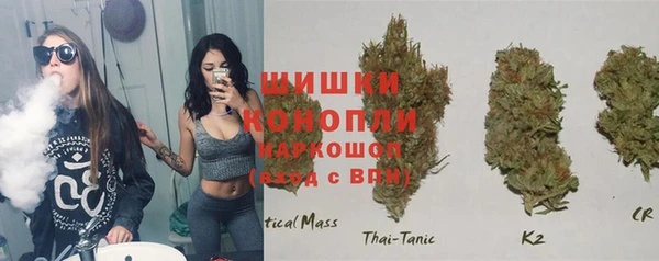твердый Краснослободск
