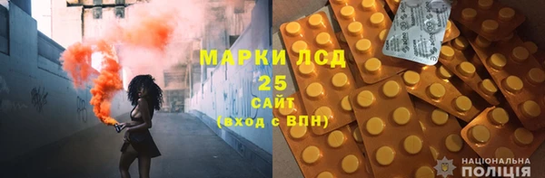 твердый Краснослободск