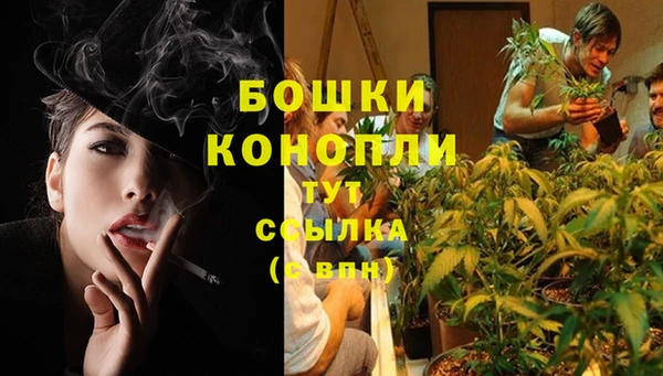 твердый Краснослободск
