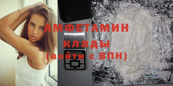 твердый Краснослободск