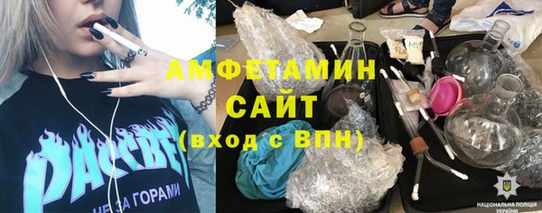 твердый Краснослободск