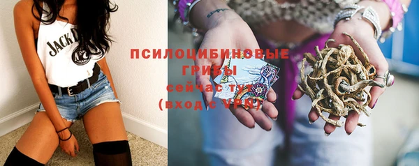 твердый Краснослободск